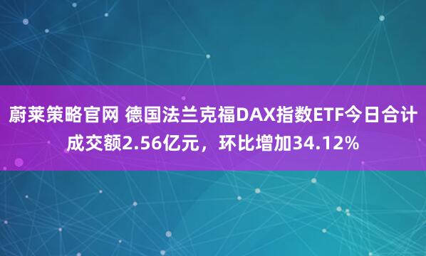 蔚莱策略官网 德国法兰克福DAX指数ETF今日合计成交额2.56亿元，环比增加34.12%