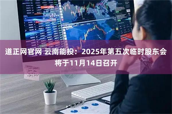 道正网官网 云南能投：2025年第五次临时股东会将于11月14日召开