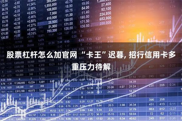 股票杠杆怎么加官网 “卡王”迟暮, 招行信用卡多重压力待解